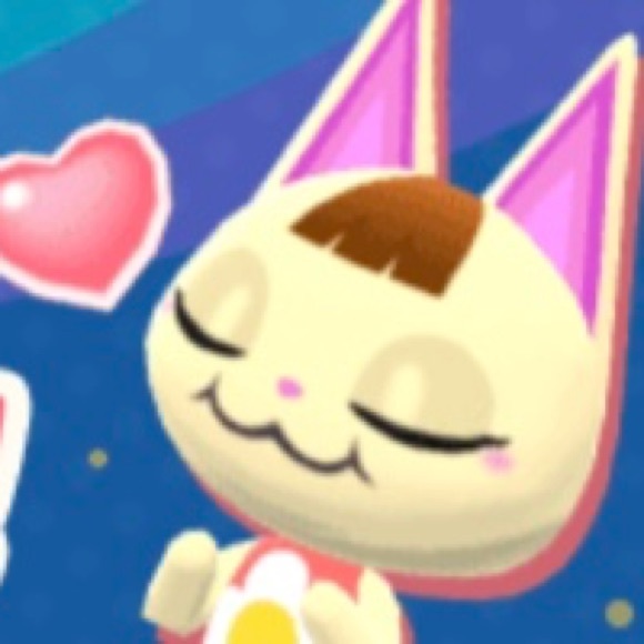 EVERYTHING MUST GO! MOVING SALE!!! - Picture 1 of 1